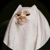 yaeow7