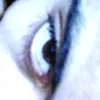tarcisio_miguel