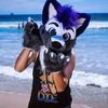 jakeythefurry