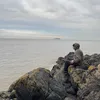 richjs