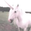 unicorng1rlxd