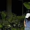 dino.saur0_0