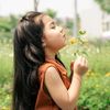 queensahar14