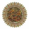 saraalosh533