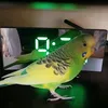 sirob60