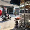 hienminh44