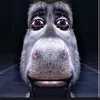 mrcgolum