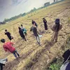_lehainam_903