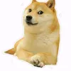 dogecoin103