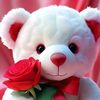 quom.ali