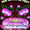 user0e6ocma5it