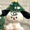 yianwang1009