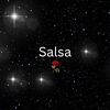 salsa 🌹