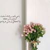 amal_199310