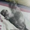 arkana_9898