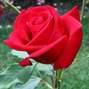 ahme_d95