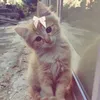 _..randomthings1