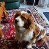 benny_and_friends
