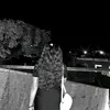 _a_mv1