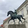 oli_fsl