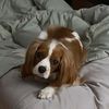 itsladypancake
