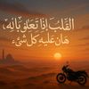 hassanbedawy1