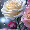 jannato_1