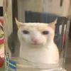 nuht0oy