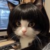 kitty_meow_meow222