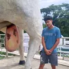 proffesionaldivertoyour