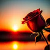goldenheart524