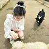 meoomeoobmt
