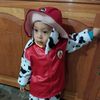 falex2704