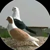 userdvp8emeufl