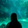 belenmariagenesis