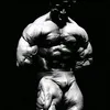marcus_drusus5