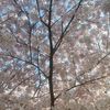 _emerging_