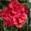 nata.li_026_