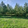 fizuli16