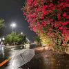 qardasha_19