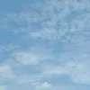 tsamaatsama_