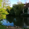 zwergal123
