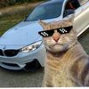 nimiijerry12