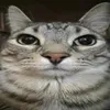 marcelibara22xd