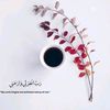 muneebkhanpti17