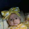 widyarosadi