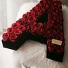 عاشقه الغروب