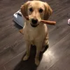 lucypass069
