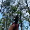 silentpipel_
