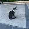 damla_mehmet_21